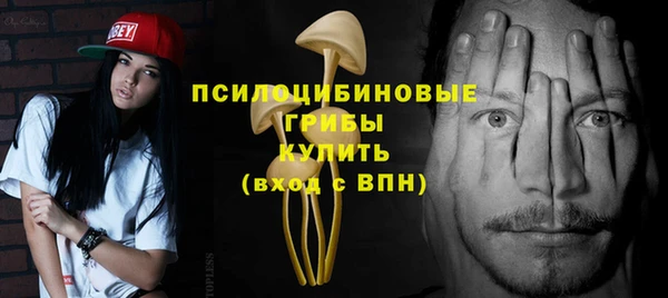 крисы Богданович
