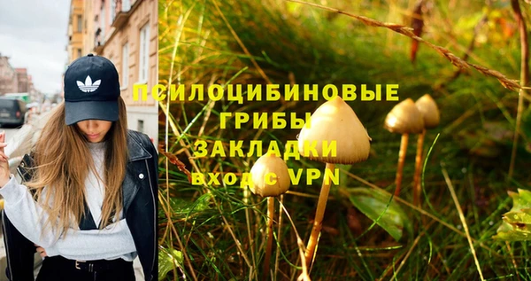 COCAINE Богородск