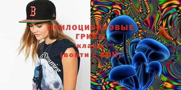 крисы Богданович