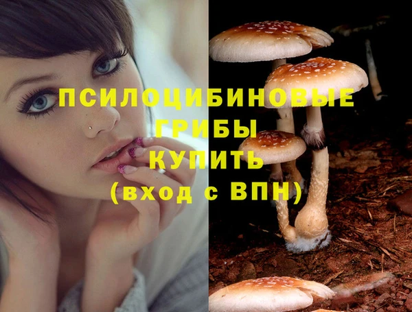 крисы Богданович