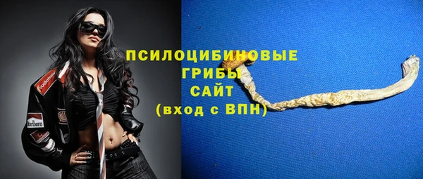 крисы Богданович