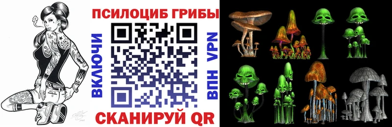 Галлюциногенные грибы Magic Shrooms  Комсомольск-на-Амуре 